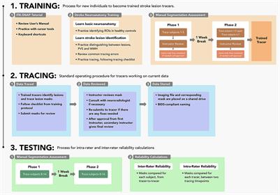 A standardized protocol for manually segmenting stroke lesions on high-resolution T1-weighted MR images